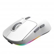 Игровая мышь Meetion GW38 White (MT-GW38-B)