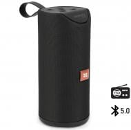 Портативная колонка Promate Chill 6W IPX4 2.0 black (chill.black)