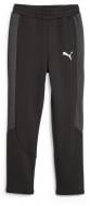 Брюки Puma EVOSTRIPE PANTS DK B 67627801 р. 164 черный