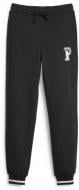 Брюки Puma PUMA SQUAD SWEATPANTS FL G 67644501 р. 164 черный