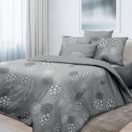 Комплект постельного белья 2.0 Дантэ серый Ecotton