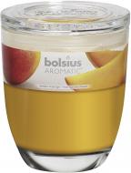 Свеча ароматическая Bolsius Манго 8х7 см