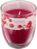 Свеча ароматическая Bolsius Клюква 8х7 см