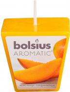 Свеча ароматическая Bolsius Манго 4,7х4,7 см