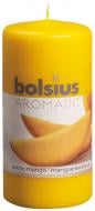 Свеча ароматическая Bolsius Манго 12х6 см