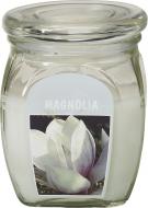 Свеча ароматическая Bolsius Магнолия 12х9,2 см
