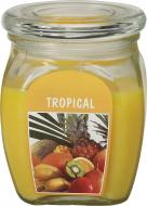 Свеча ароматическая Bolsius Тропики 12х9,2 см