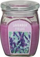 Свеча ароматическая Bolsius Французская лаванда 12х9,2 см