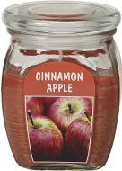 Свеча ароматическая Bolsius Яблоко 12х9,2 см