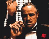 Картина по номерам Крестный отец BS4343 40x50 см Brushme