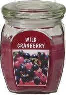 Свеча ароматическая Bolsius Клюква 12х9,2 см