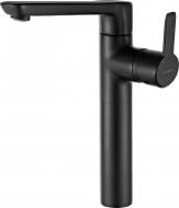 Смеситель для умывальника Deante Arnika BQA N21K черный