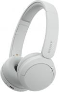 Навушники Sony On-ear BT 5.2 SBC AAC Wireless Mic white (WHCH520W.CE7)