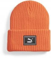 Шапка Puma PRIME WS CUFF TREND BEANIE 02405605 р.one size чорний