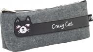 Пенал 20,5х8х3,5 см CF86699-01 Cool For School серый с рисунком