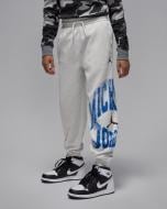 Брюки Jordan JDB MJ MVP HBR JM FLC PANT 95F096-X58 р. 13-15YRS серый