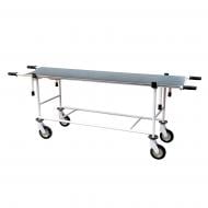 Тележка медицинская Заповіт ТАП анатомический