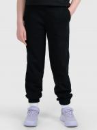 Спортивные штаны 4F