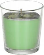 Свеча ароматическая Feroma Candle Арома Зеленый лимон FGAODA-LMN