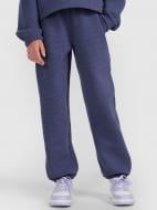 Брюки 4F TROUSERS CAS F1243 4FJWAW25TTROF1243-32S р. 140 синий Брюки 4F TROUSERS CAS F1243 4FJWAW25TTROF1243-32S р. 140 синий
