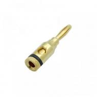Коннектор акустический Profix Banan золотой (P300272-1BK)