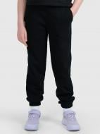 Брюки 4F TROUSERS CAS F1509 4FJWMM00TTROF1509-20S р. 158 черный