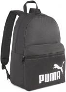 Рюкзак спортивный Puma PUMA PHASE BACKPACK 07994301 22 л черный