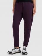 Штани 4F TROUSERS CAS F1197 4FWAW25TTROF1197-50S р. L фіолетовий