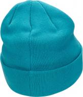 Шапка Nike K NK PEAK BEANIE SC SWSH FB6492-367 р.one size блакитний