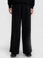 Брюки 4F TROUSERS CAS F1204 4FWAW25TTROF1204-20S р. XS черный
