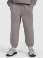 Брюки 4F TROUSERS CAS M1245 4FJWAW25TTROM1245-22S р. 122 серый