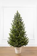 Искусственная елка Полярная 1,10 м Весенняя в горшке зеленыйSiga Group