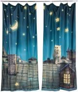 Фотоштора  Кот на крыше 142x270 см 2 шт. Walldeco