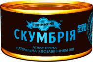 Консерва Fishmarine скумбрія атлантична № 5 240 г