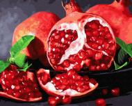 Картина по номерам Сочный гранат 40x50 см GX32215 Brushme