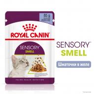 Корм для дорослих кішок для стимулювання нюхових рецепторів Royal Canin Sensory Smell в желе 85 г