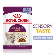 Корм для дорослих кішок стимулюючий смакові рецептори Royal Canin Sensory Taste в желе 85 г