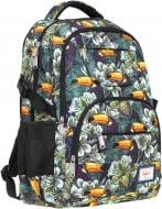 Рюкзак Safari 46x30x17 см 19-111L-1