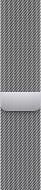 Ремінець Apple 41mm Silver Milanese Loop (MTJN3ZM/A)