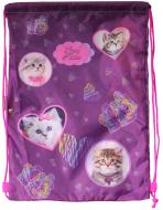 Сумка для взуття Lovely Kitties 33x46 см CLASS