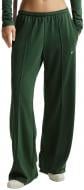 Штани Nike W NSW OFFLN CHLL FT OH MR PANT II3978-323 р. XL зелений