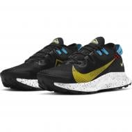 Кроссовки мужские демисезонные Nike Pegasus Trail 2 CK4305-001 р.41 черные