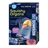 Набір дослідника Kosmos Желейні органи (Squichy Organs) 616816