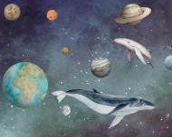 Фотообои De-Cors Дальний космос 70140 265x200 см 5,3 кв.м