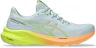 Кроссовки женские Asics GT-1000 13 PARIS 1012B748-750 р.39,5 серые