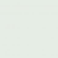 Краска фасадная силиконовая Kompozit Facade Luxe мат ST-098 1,4 кг