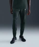Брюки Nike FZ0570-390 р. L серый