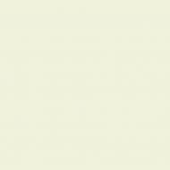 Краска фасадная силиконовая Kompozit Facade Luxe мат ST-104 4,2 кг