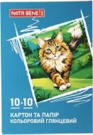 Набор цветного картона и бумаги Nota Bene глянцевый А4 (10+10 листов) Набор цветного картона и бумаги Nota Bene глянцевый А4 (10+10 листов)