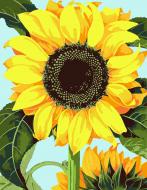 Картина за номерами Квітка соняшника 35x45 см Rosa Start